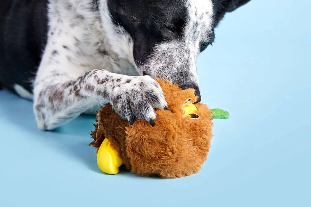 BARK Fowl Play