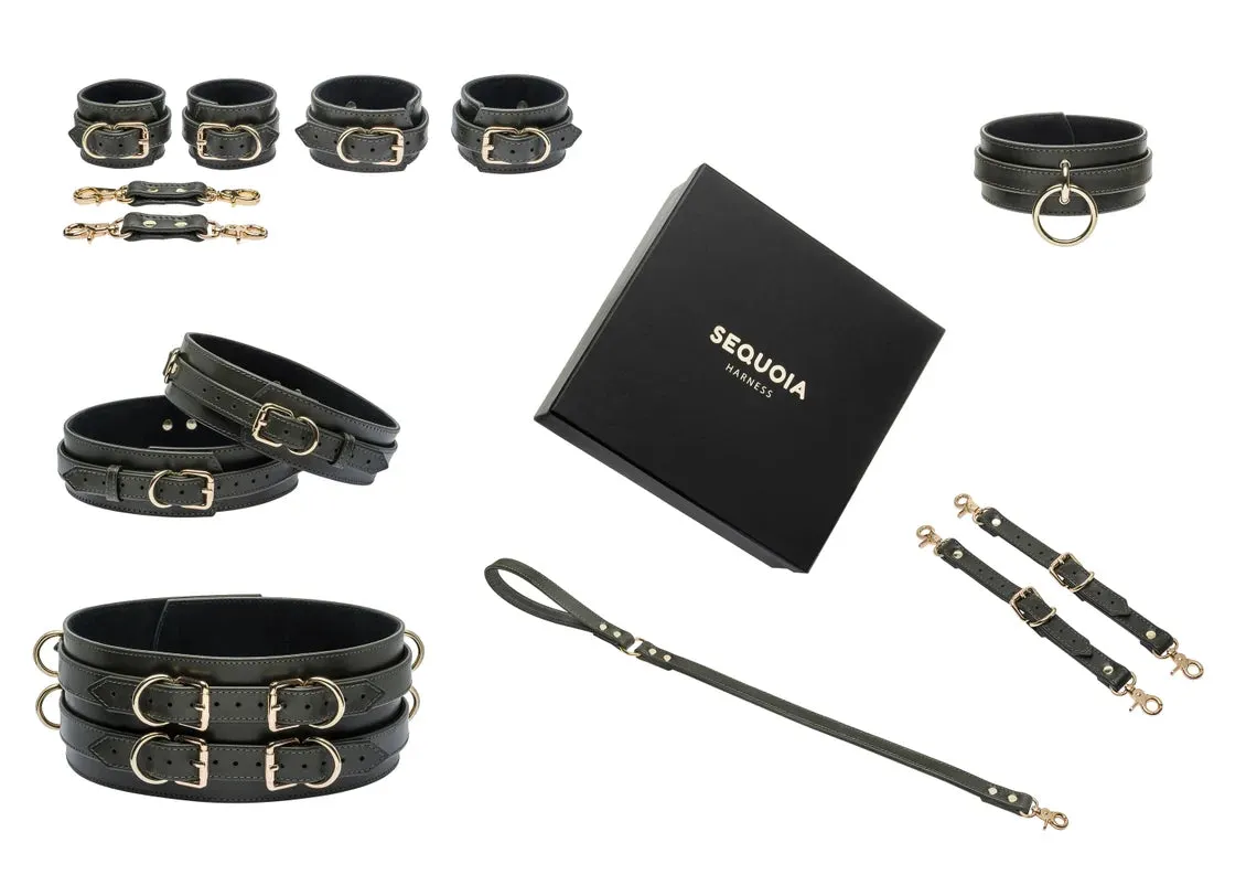 Full Set "Luna" & Leash