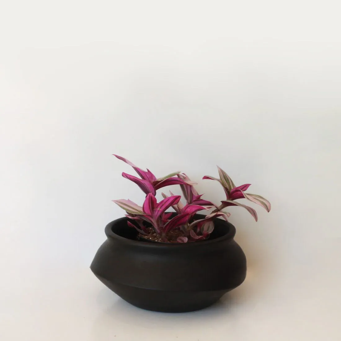 Urban Oasis Naya Pot Matte Black Small
