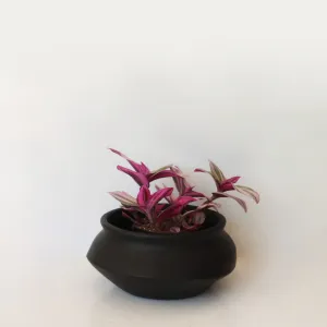 Urban Oasis Naya Pot Matte Black Small